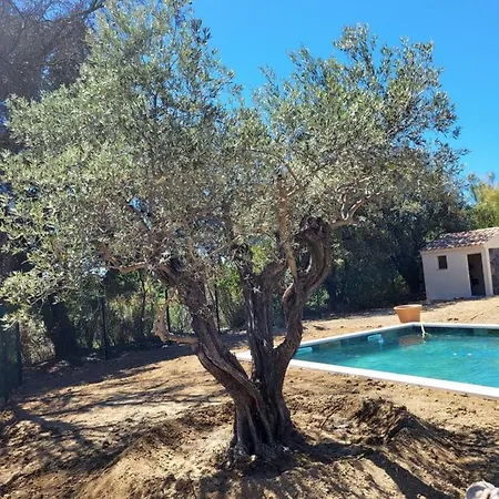 Villa Gitedelea Aubignan Exterior photo